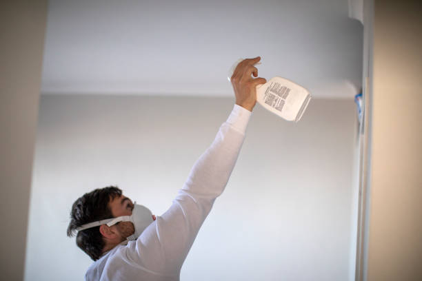 Best Mold Removal Near Me  in Middlefield, OH