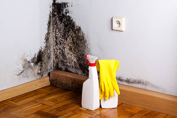 Best Mold Testing  in Middlefield, OH